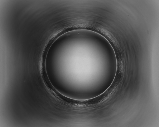 X0000094460677200711081326
