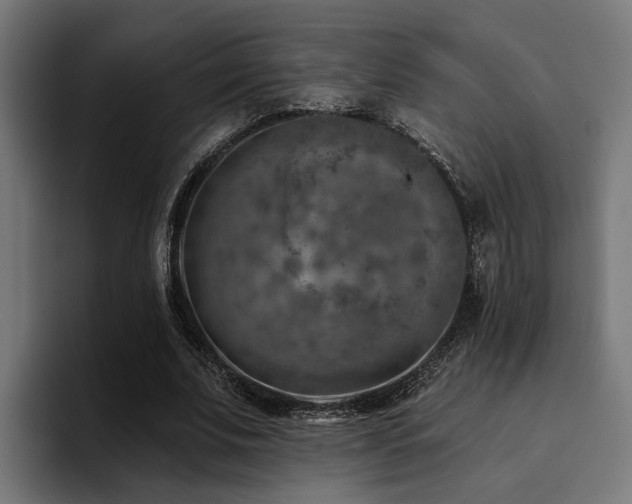 X0000094460679200711081326