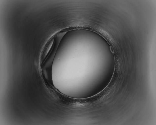 X0000094460680200711081326
