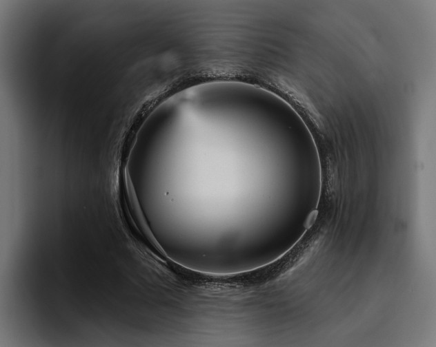 X0000094460681200711081326