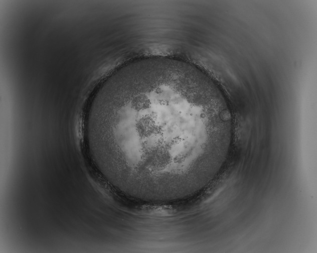 X0000094460683200711081326