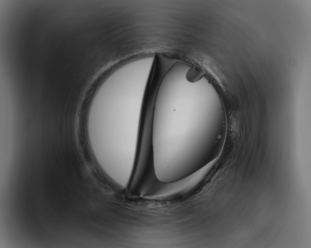 X0000094460684200711081326