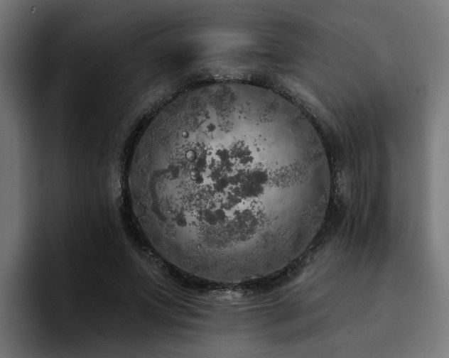 X0000094460687200711081326