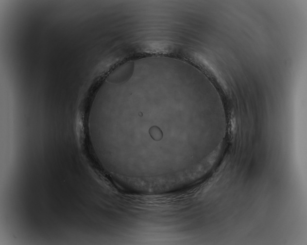 X0000094460688200711081326