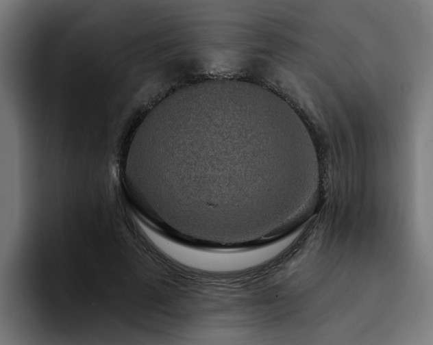 X0000094460689200711081326