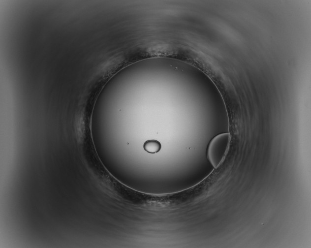 X0000094460690200711081325