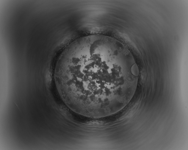 X0000094460691200711081325