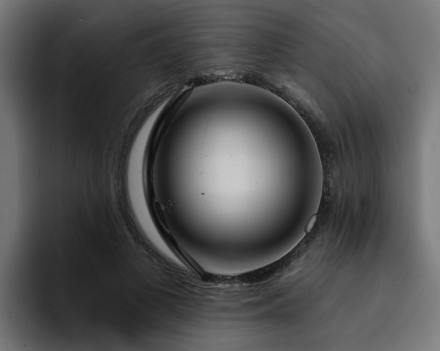 X0000094460693200711081325
