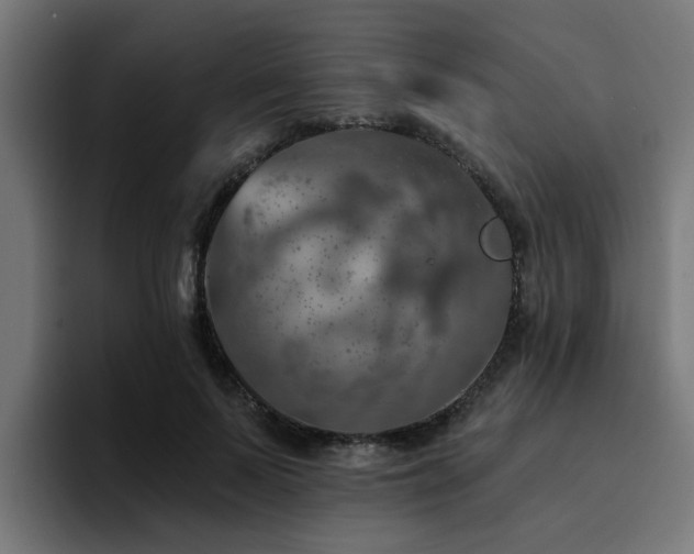 X0000094460695200711081325