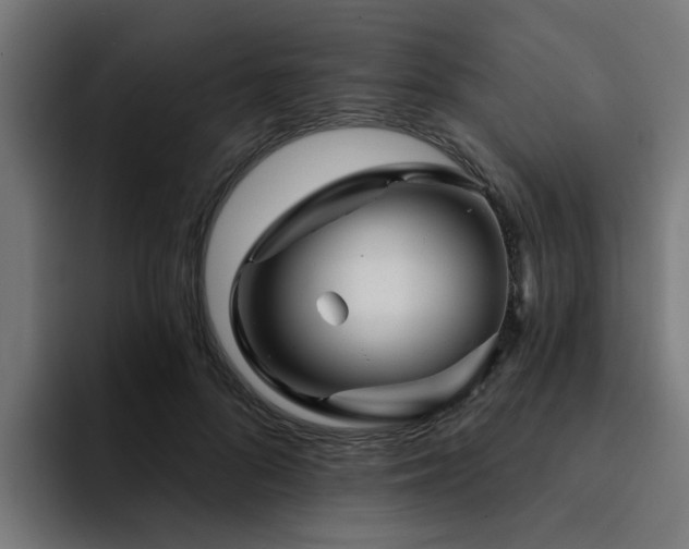X0000094460696200711081325