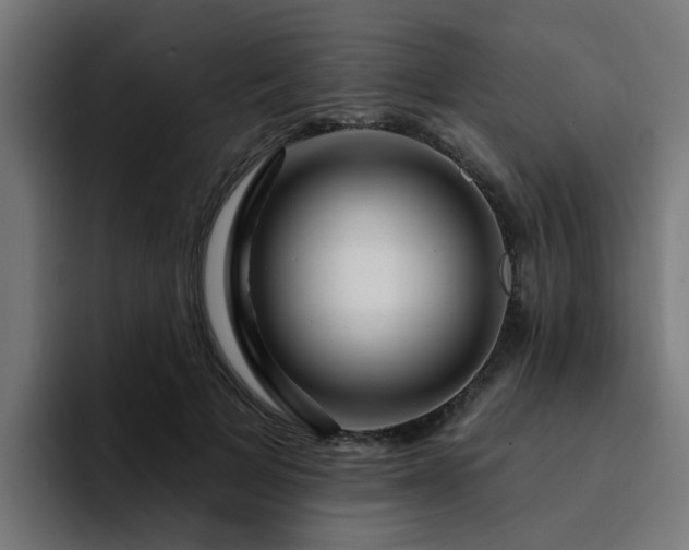 X0000094460697200711081325