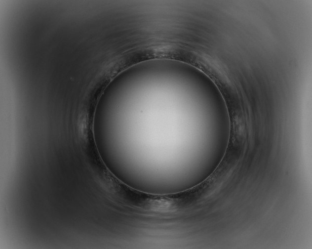 X0000094460698200711081325