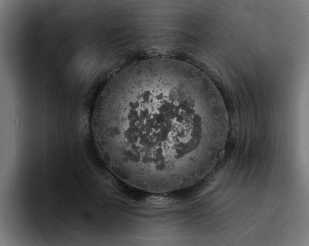 X0000094460699200711081325