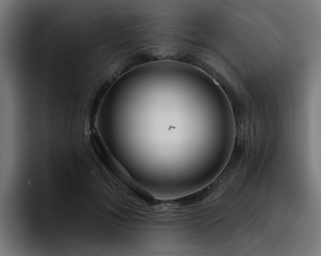 X0000094460700200711081325