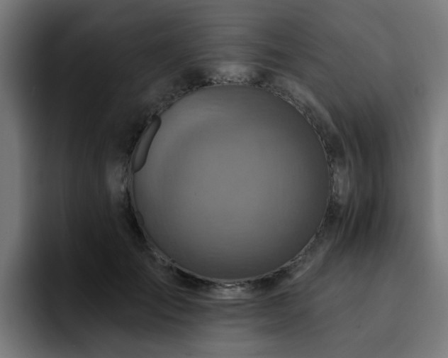 X0000094460701200711081325