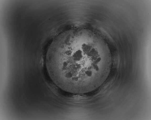 X0000094460703200711081325