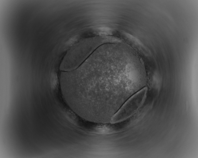 X0000094460704200711081325