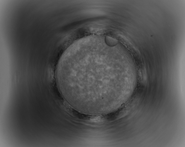 X0000094460705200711081325