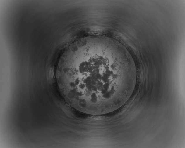 X0000094460711200711081325
