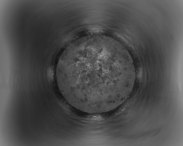 X0000094460715200711081325