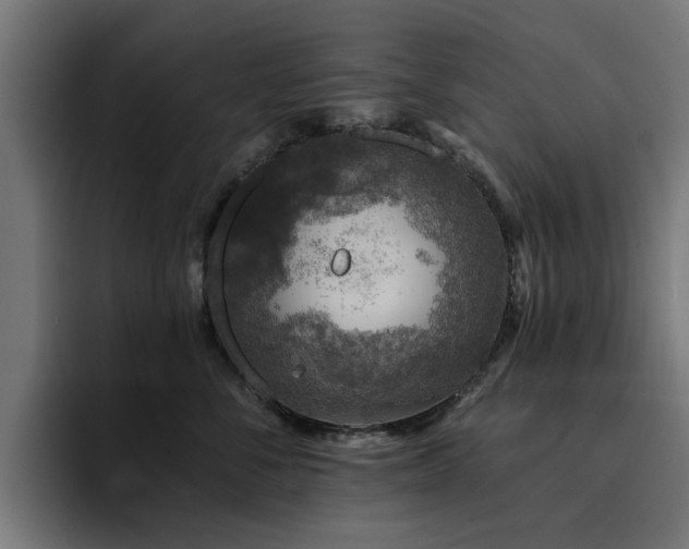 X0000094460716200711081325