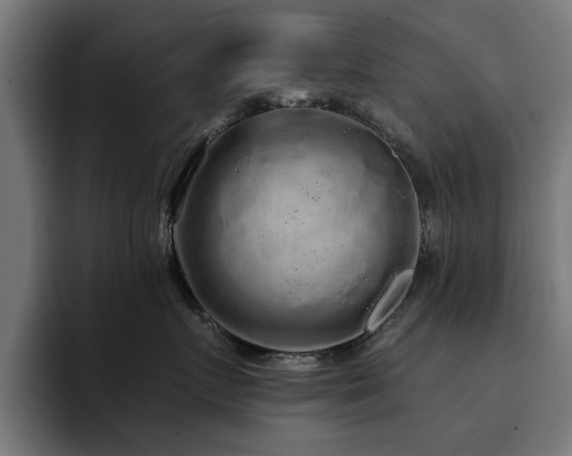 X0000094460719200711081325