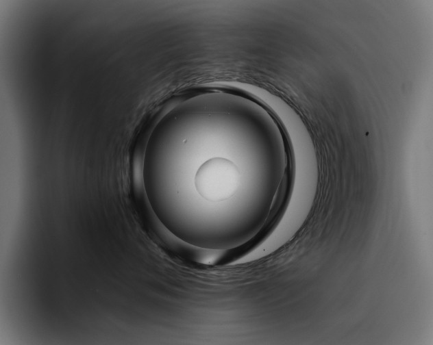 X0000094460720200711081325