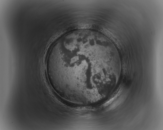 X0000094460721200711081324