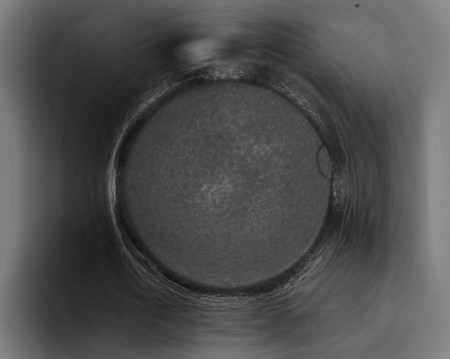 X0000094460722200711081324