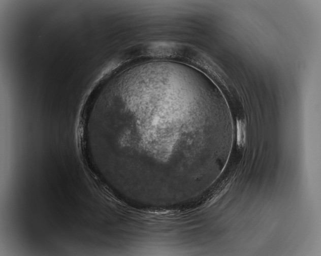 X0000094460723200711081325
