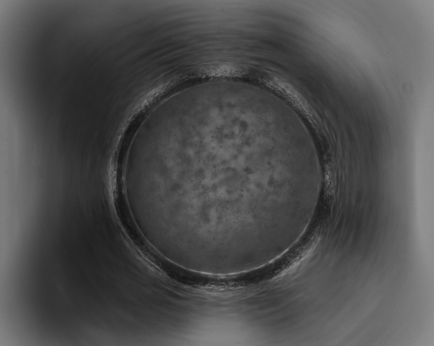 X0000094460725200711081325