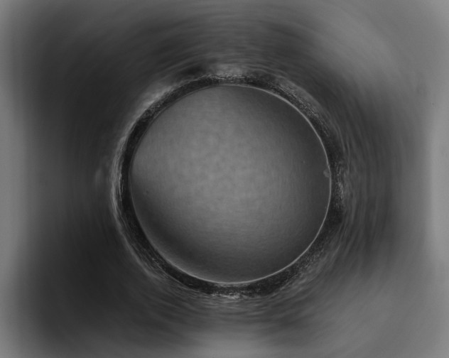 X0000094460728200711081325