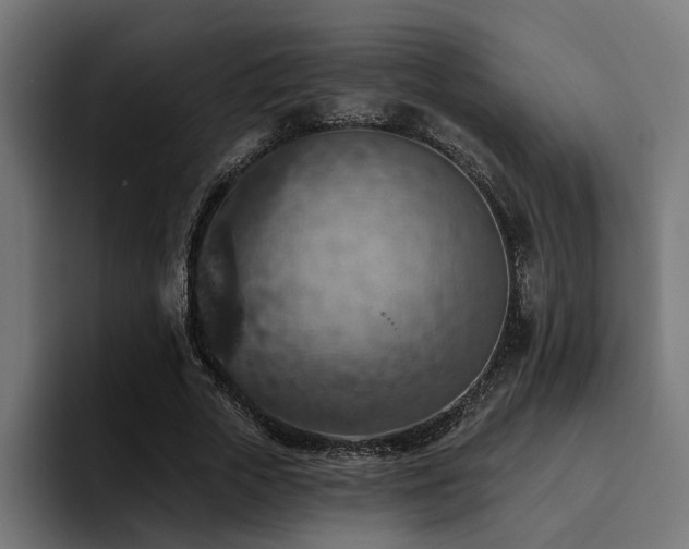 X0000094460729200711081325