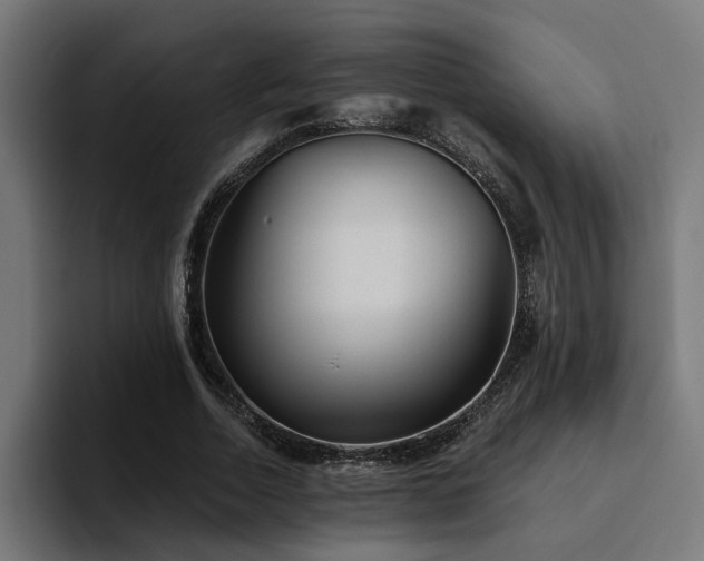 X0000094460730200711081325