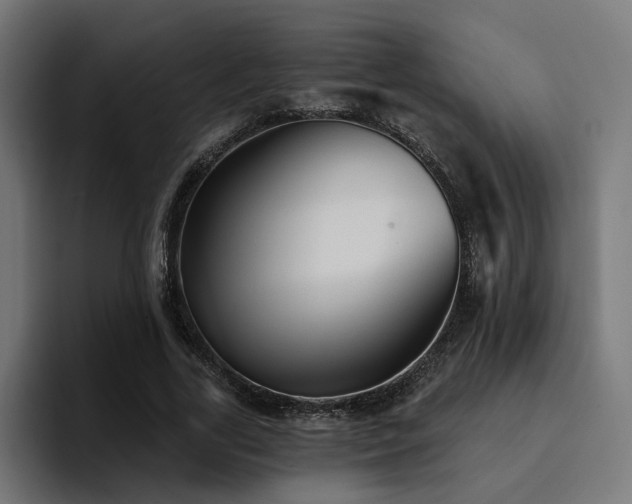 X0000094460731200711081325