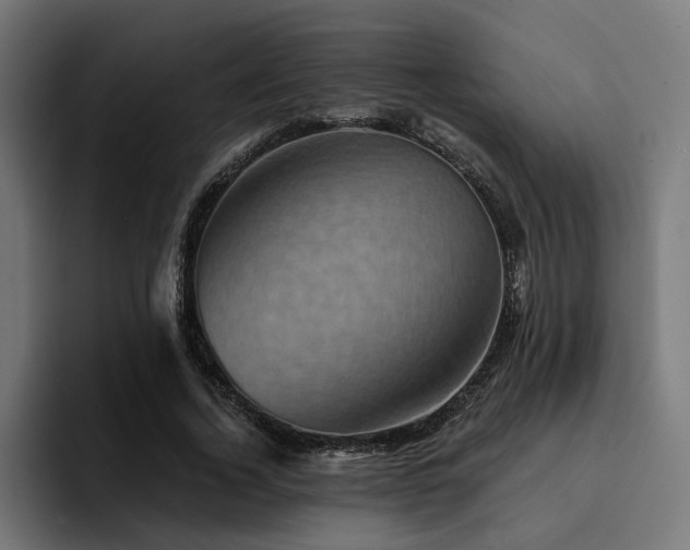 X0000094460732200711081325