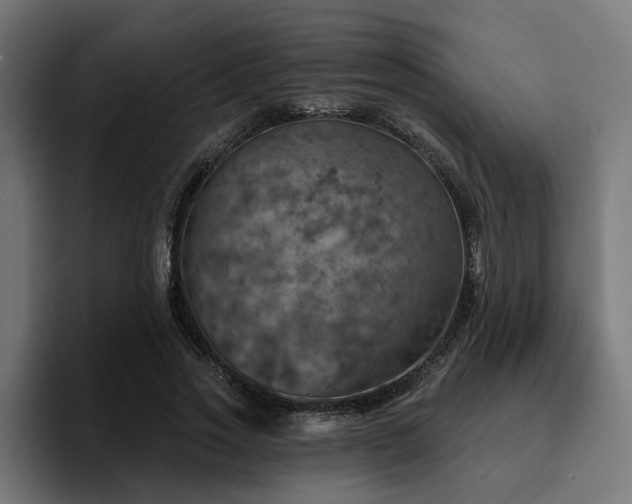 X0000094460733200711081325