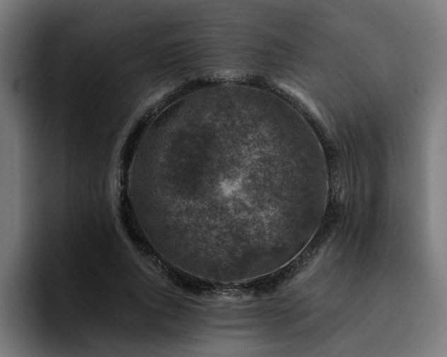 X0000094460736200711081325