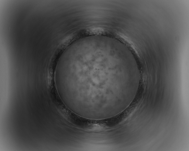 X0000094460737200711081325