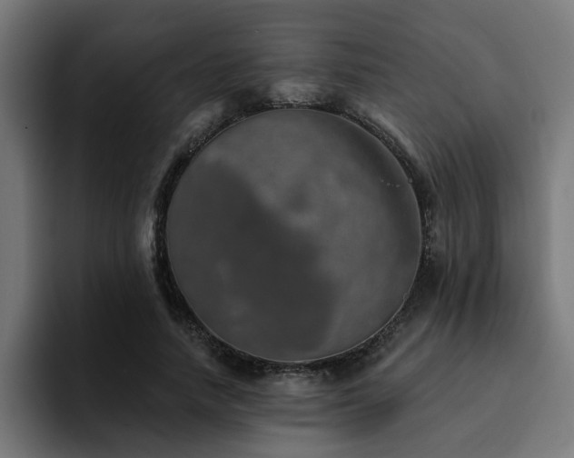 X0000094460738200711081325