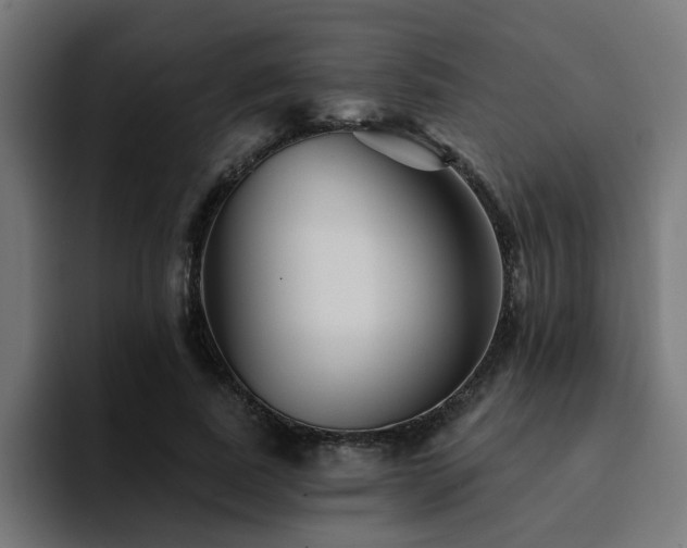 X0000094460739200711081325