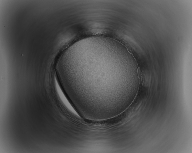 X0000094460740200711081325