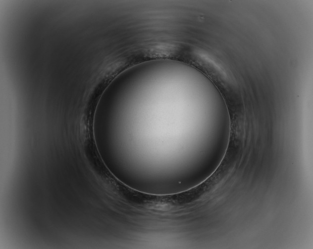 X0000094460743200711081325