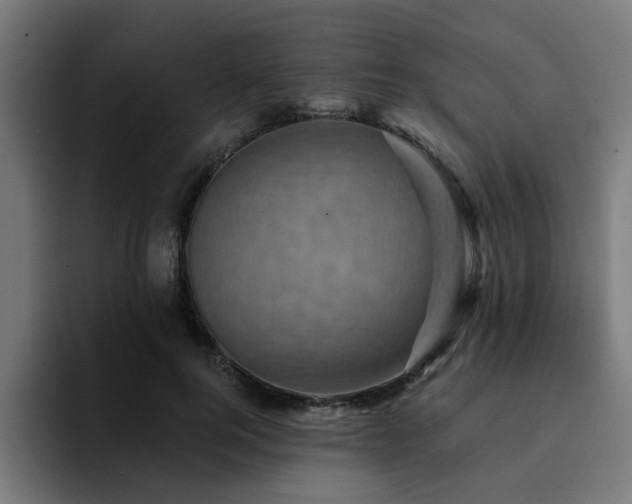 X0000094460744200711081325