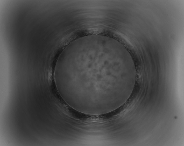 X0000094460745200711081325