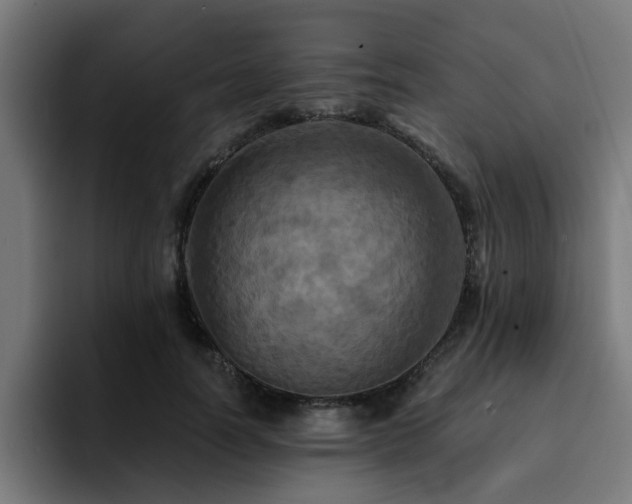 X0000094460746200711081325