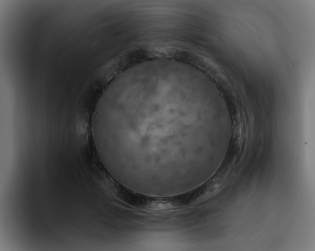 X0000094460749200711081325