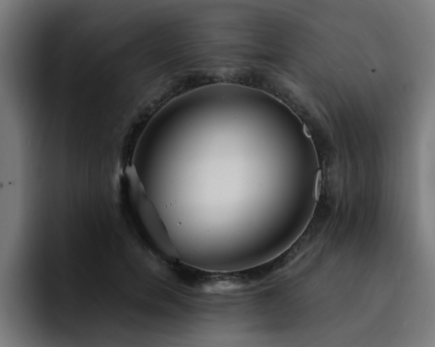 X0000094460750200711081325