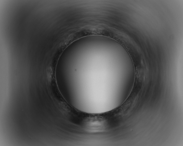 X0000094460752200711081325