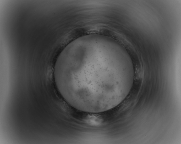 X0000094460753200711081325